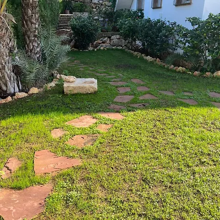 Pura Vida *